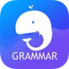 English Grammar & Test