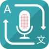 Translate Voice
